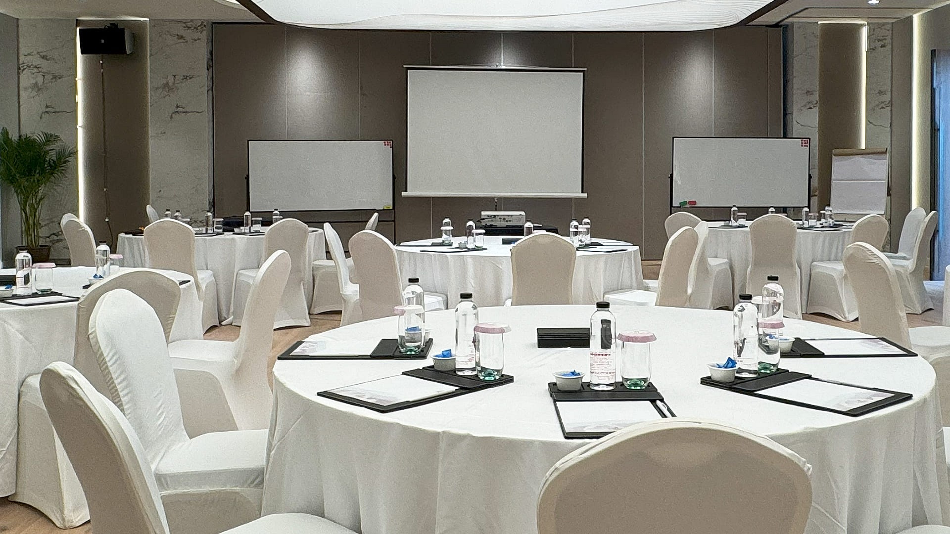 Meeting & Conference