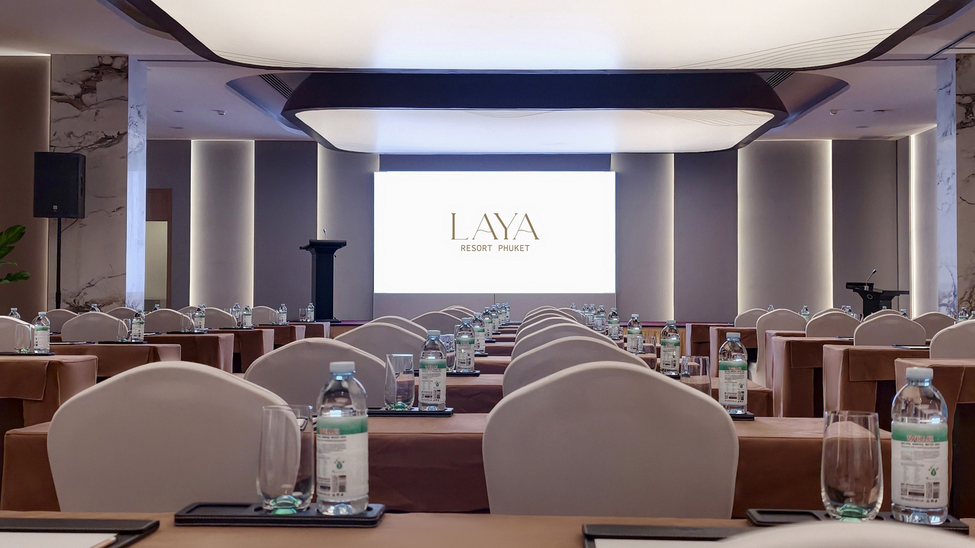 Meeting & Conference