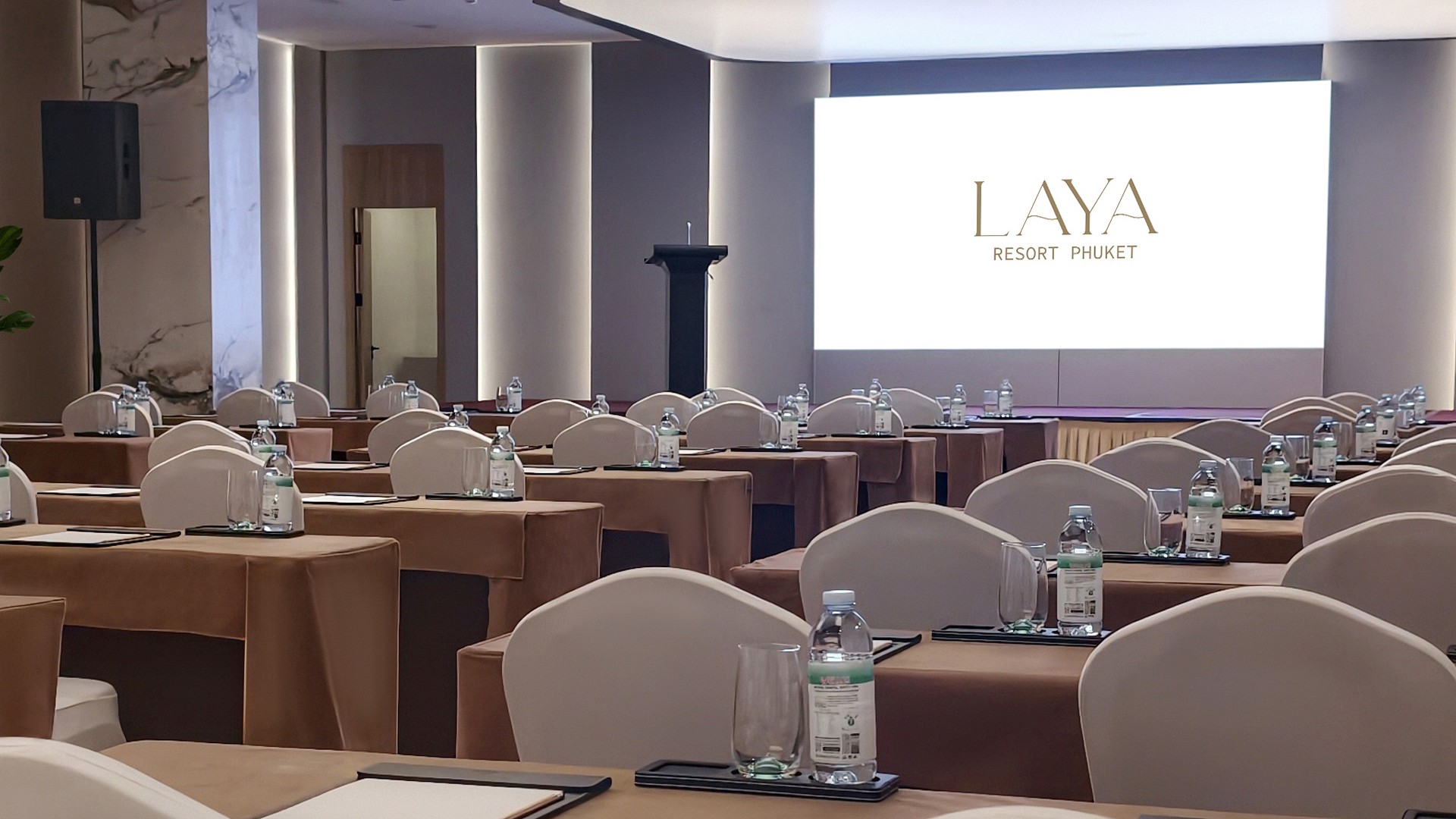 Meeting & Conference