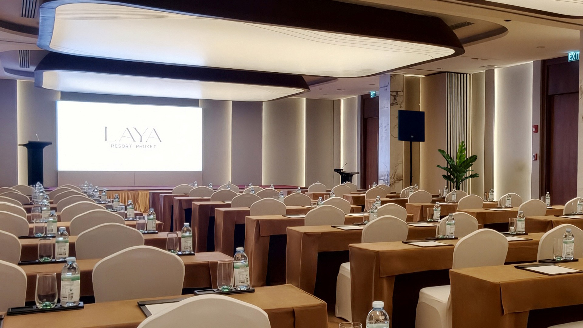 Meeting & Conference