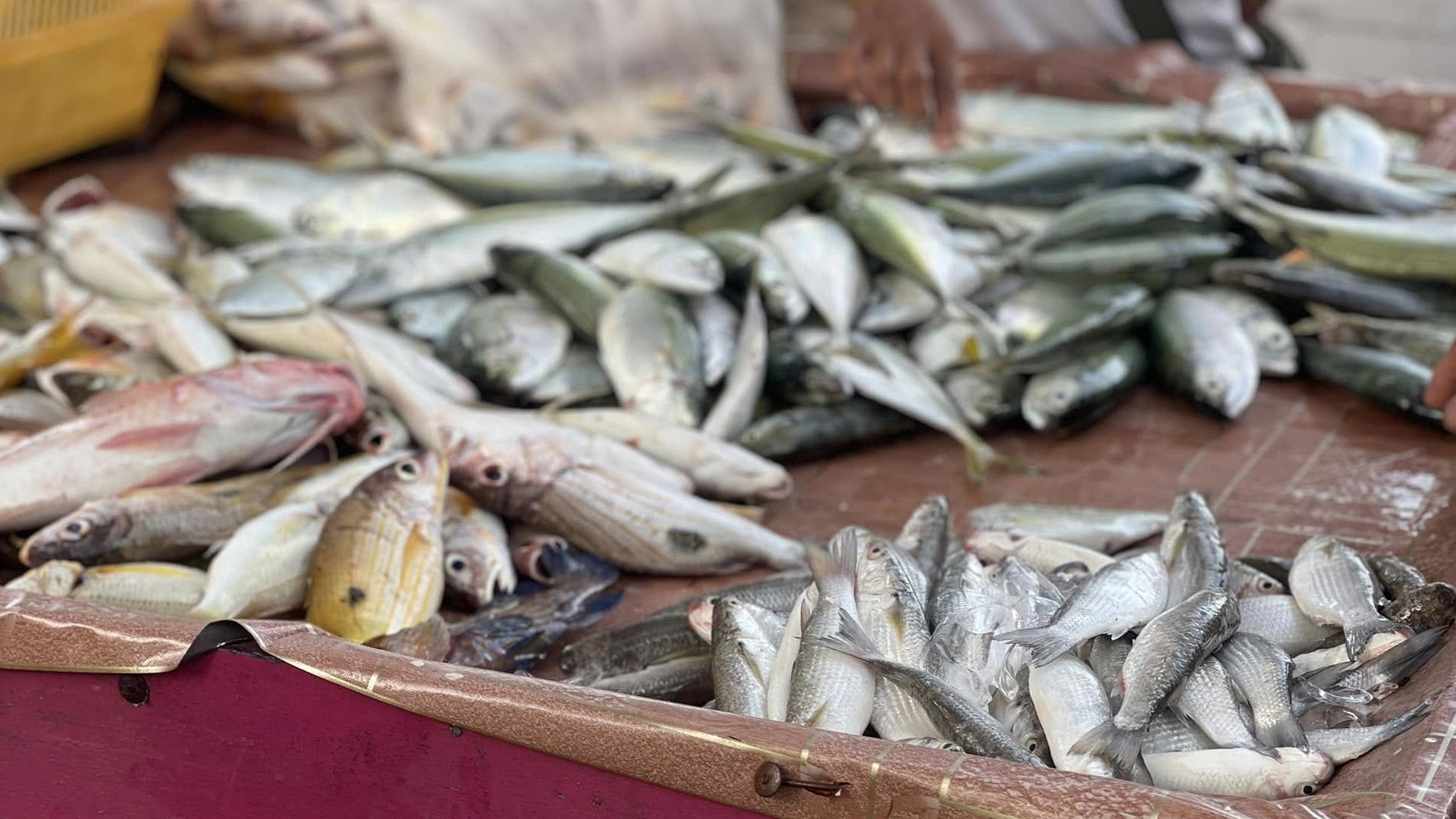 Sirinart National Park